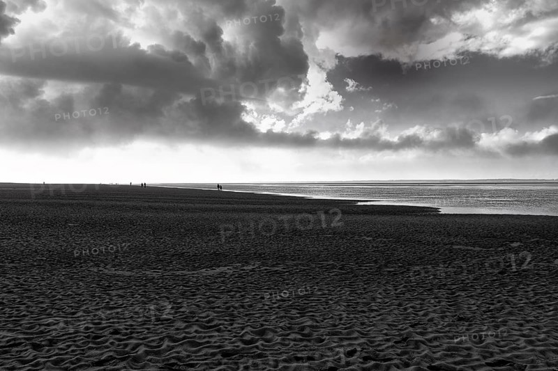 View of the dark sand mudflats in autumn