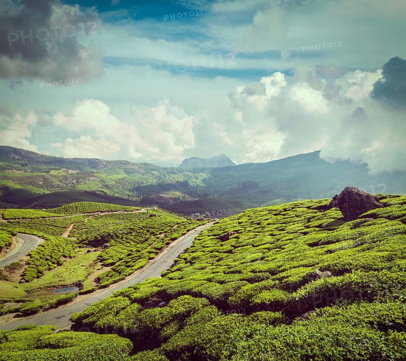 Vintage retro hipster style travel image of Kerala India travel background