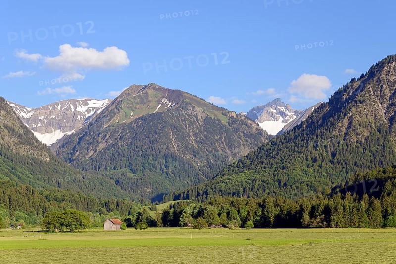 View from the Loretto meadows to the hay harvest and to the mountain Riefenkopf 1748m