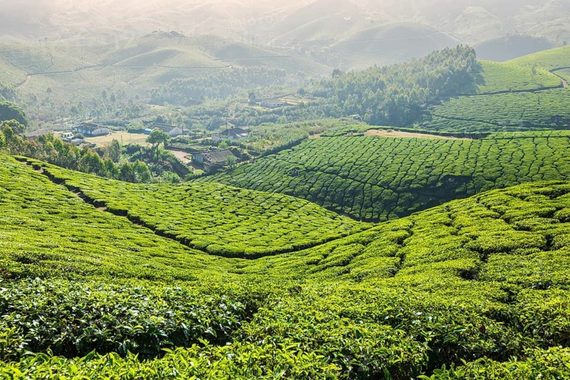 Kerala India travel background