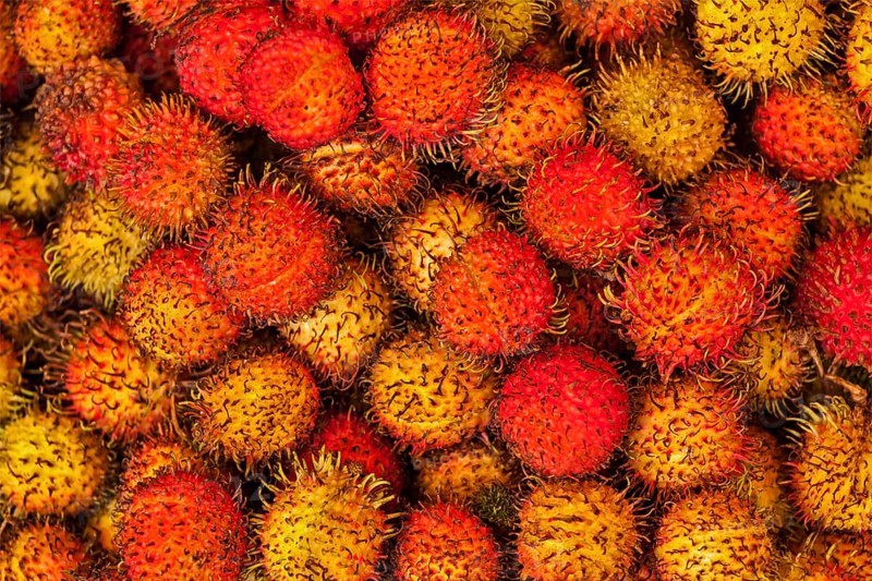 Tropical fruit rambutan close up in Cambodian market