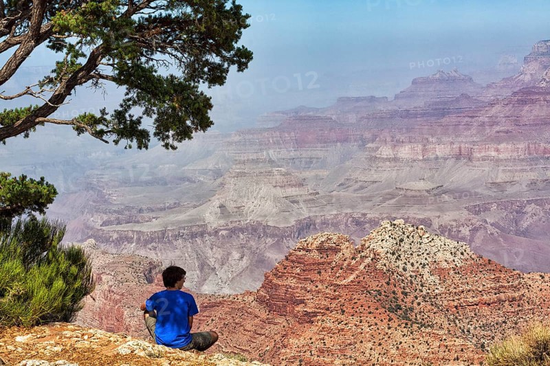 Hiker sitting under pine