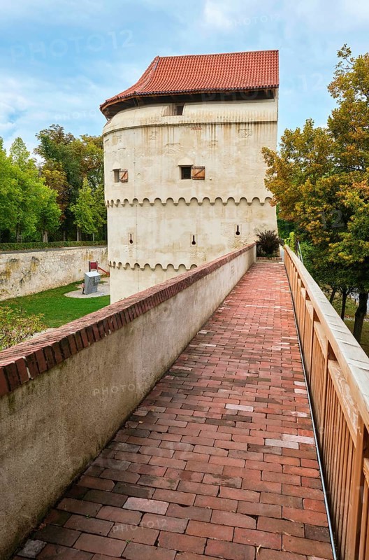 Loewenturm
