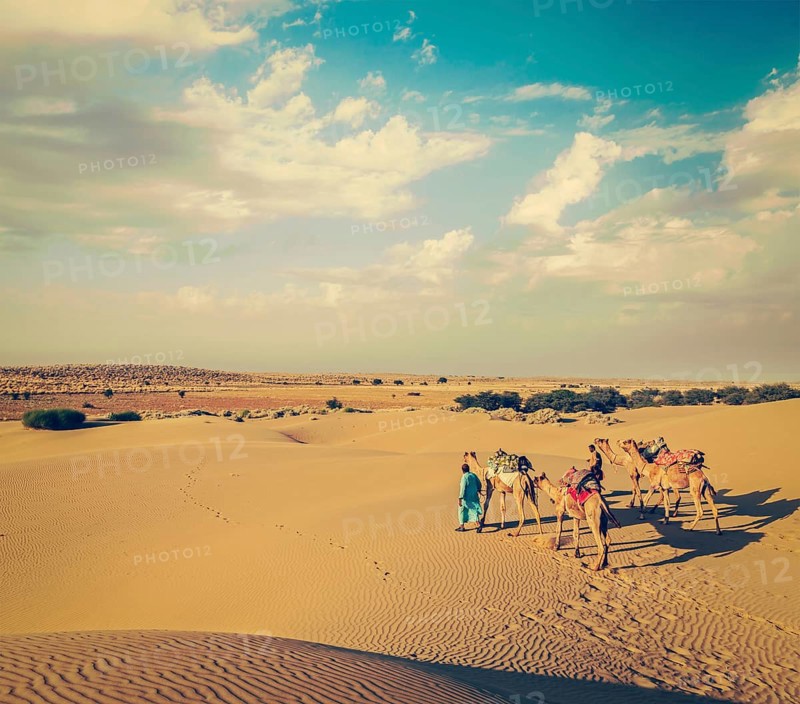 Vintage retro hipster style travel image of Rajasthan travel background