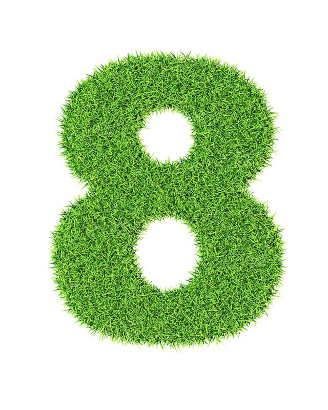 Grass number 8 eight