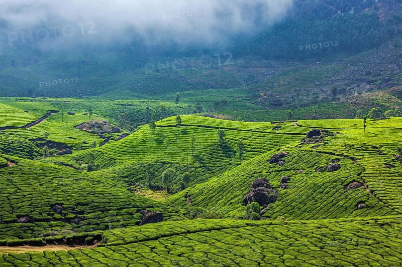 Kerala India travel background