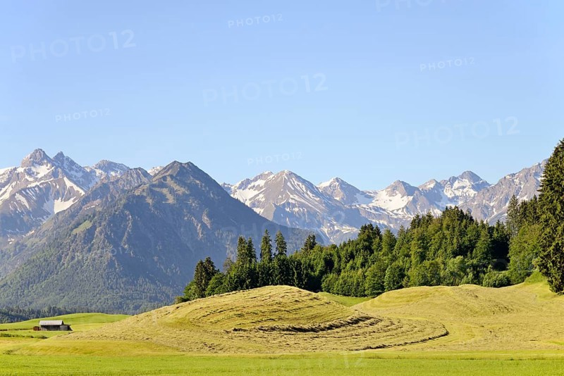 View of the mountain panorama of the Allgaeu Alps