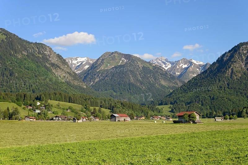 View from the Loretto meadows to the hay harvest and to the mountain Riefenkopf 1748 m