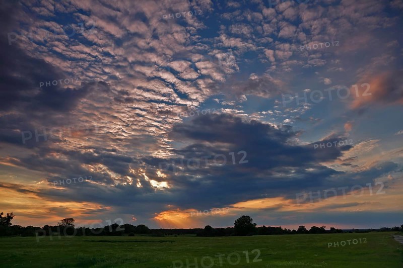 Evening mood over the Elbe meadows