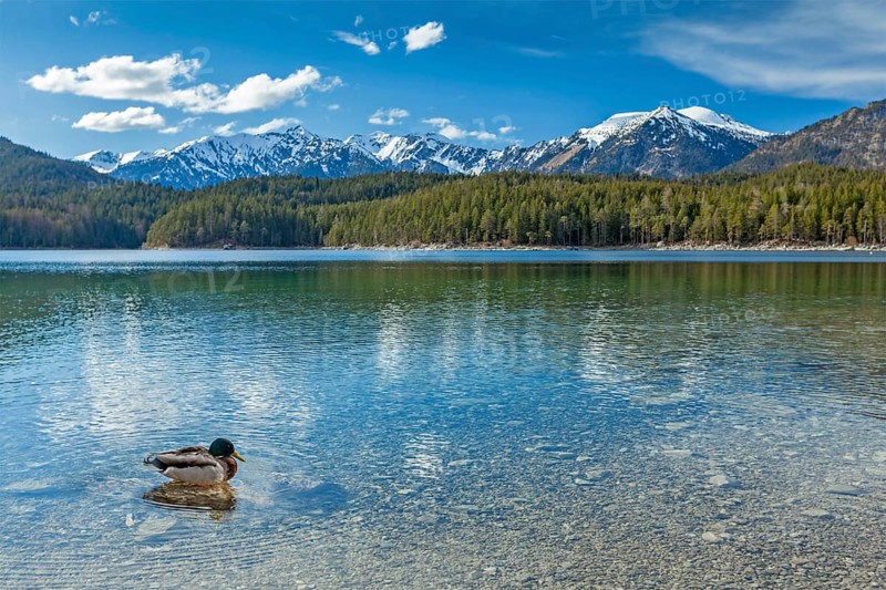 Eibsee lake. Bavaria