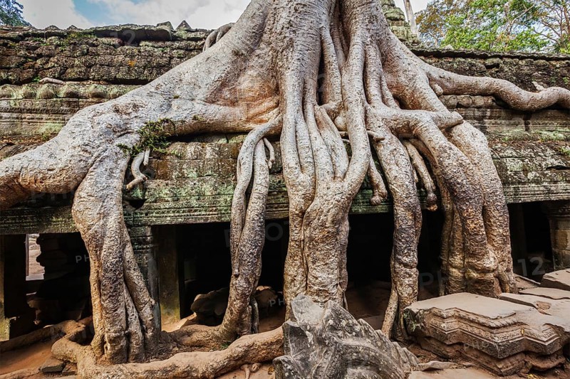Travel Cambodia concept background