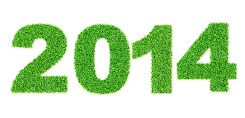 Grass word summer