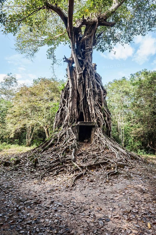Sambor Prei Kuk Pre-Angkorian temple complex ruins. Kampong Thom