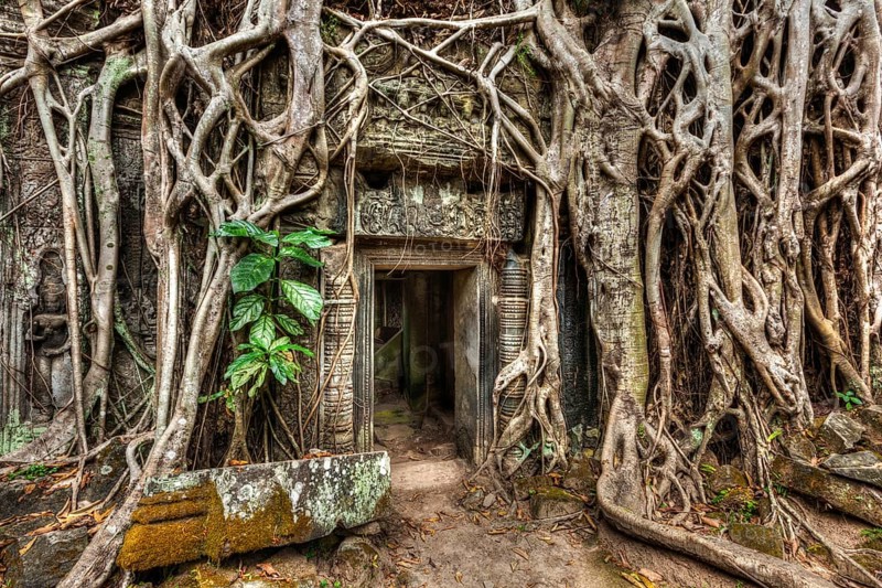 Travel Cambodia concept background