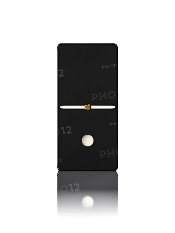 Domino game bone close up isolated on white