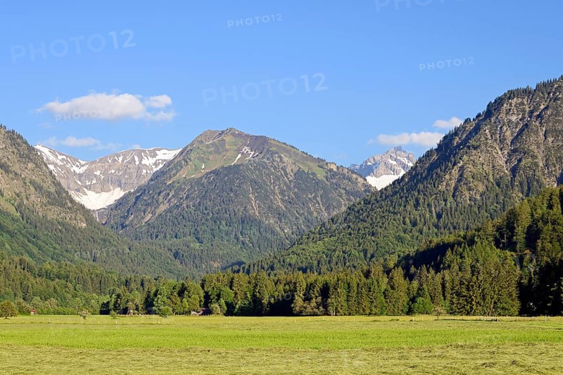 View from the Loretto meadows to the hay harvest and to the mountain Riefenkopf 1748m