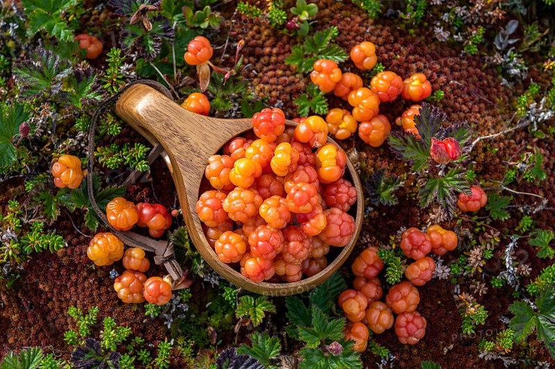 Cloudberries