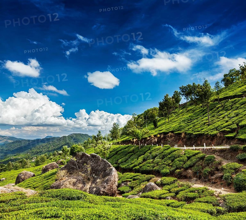 Kerala India travel background