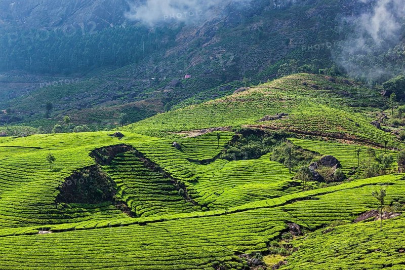 Kerala India travel background