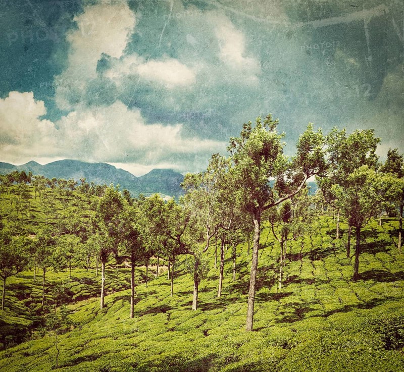 Vintage retro hipster style travel image of Kerala India travel background