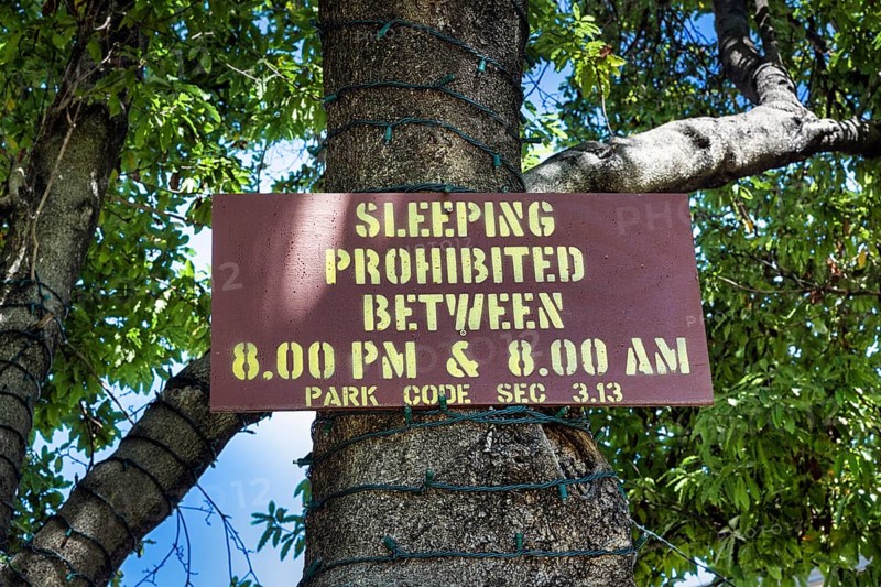 Sign on a tree in the park