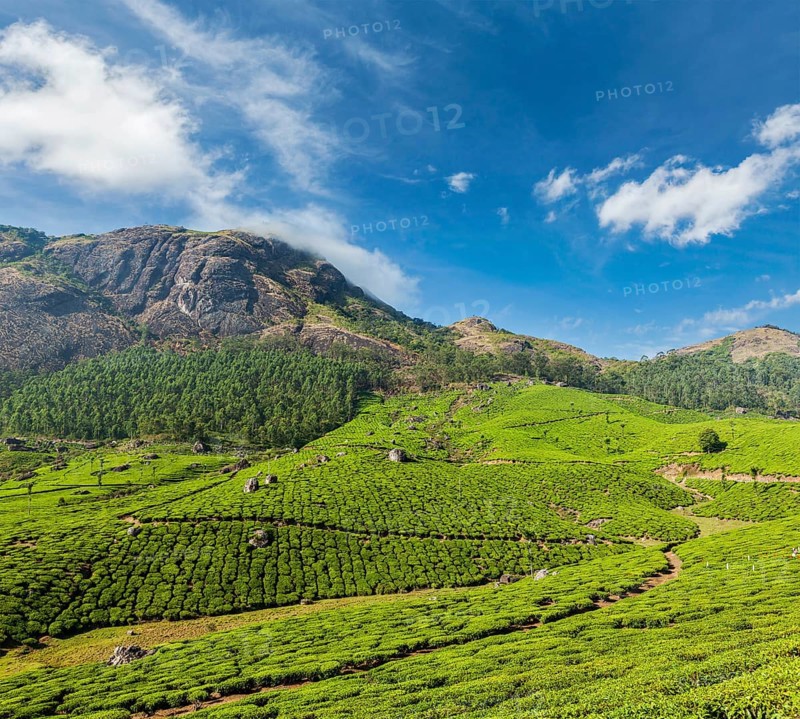 Kerala India travel background