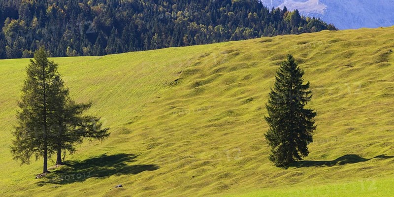 Buckelwiesen between Mittenwald and Kruen