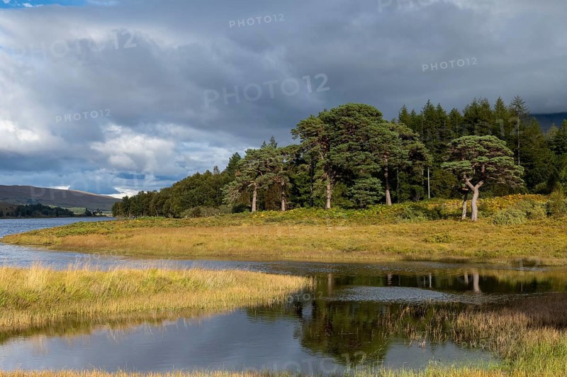 Loch Tulla