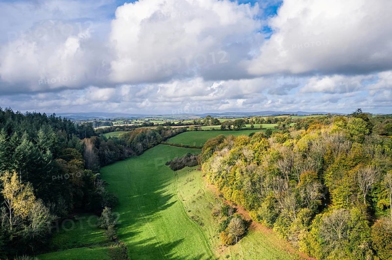 Forests and Farms over Berry Pomeroy