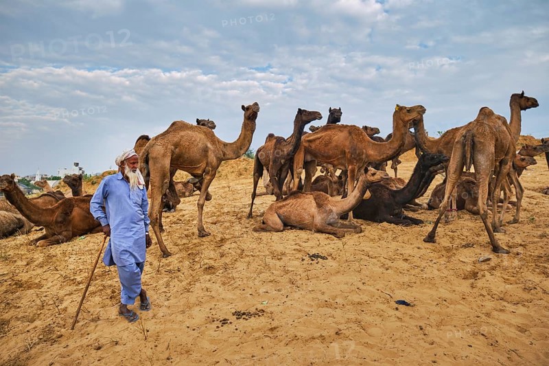 Pushkar