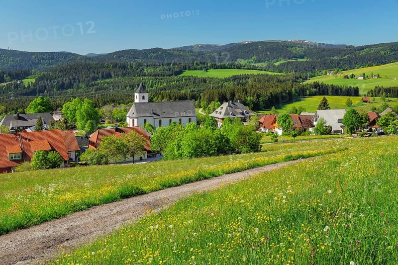 View over Breitnau to the Feldberg in spring