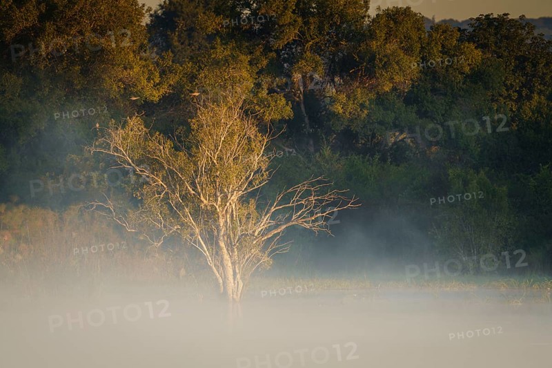 Fog rises from the water