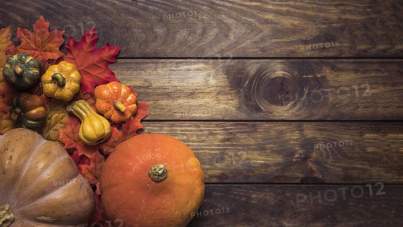 Composition ripe pumpkins autumn leaves