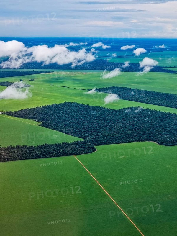 Aerial of the giant soy fields around Sinop