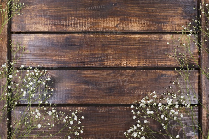 Light white flowers wood
