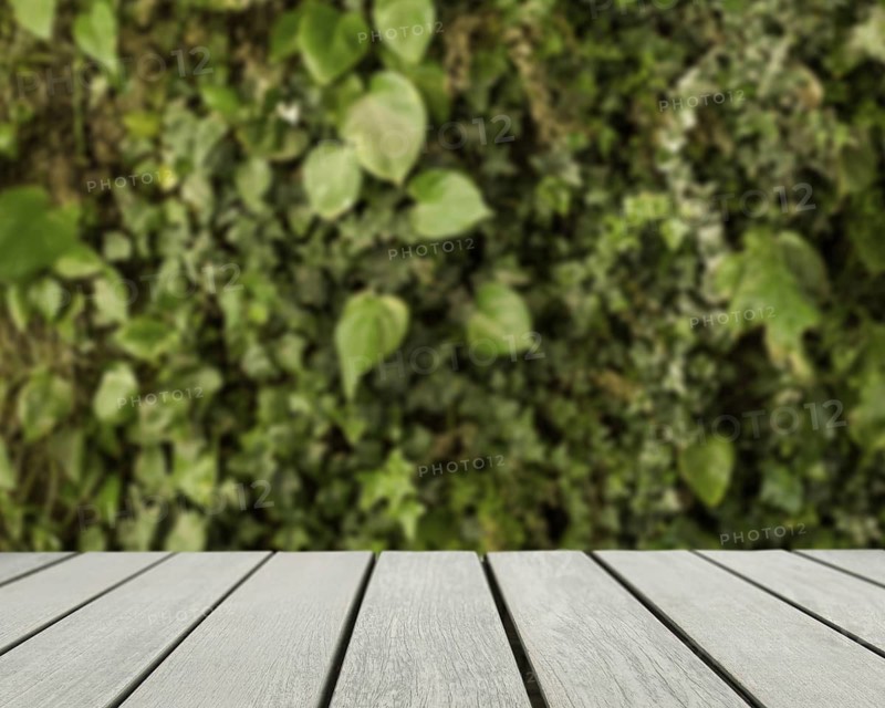 Table surface looking out blurred green leaves. Resolution and high quality beautiful photo