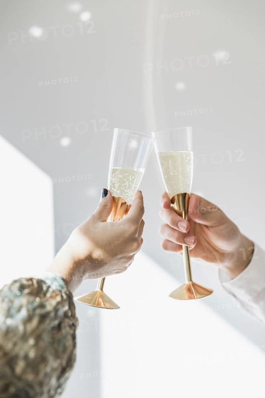 Toasting with champagne new year party. Resolution and high quality beautiful photo