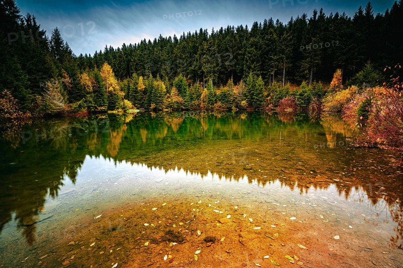 The river "Weisse Sehma" forms a small pond in the middle of the spruce forest in the Ore Mountains below the Fichtelberg