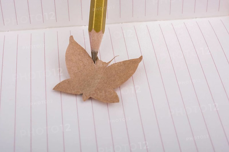 Paper is cut out in shape of a butterfly