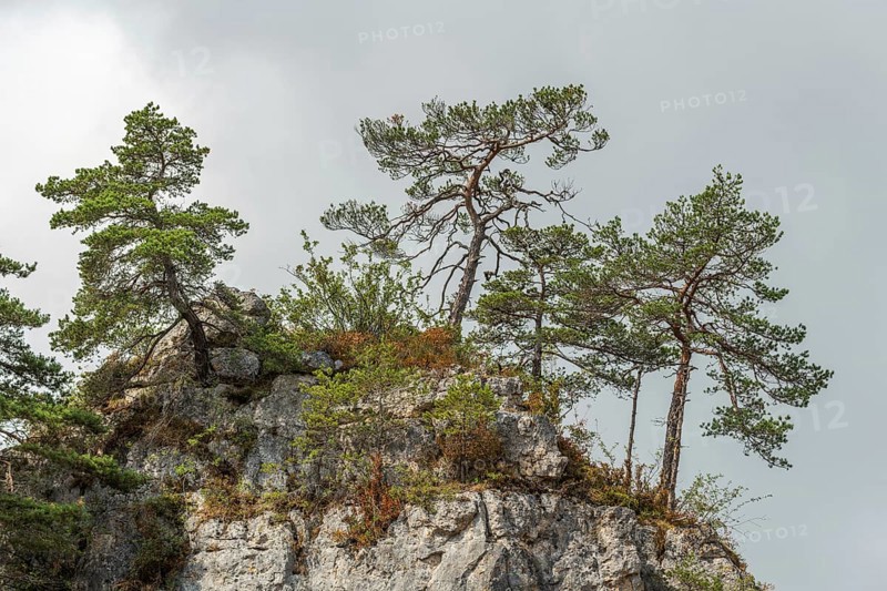 Wild landscape in Cevennes National Park