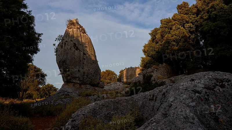 Monolith