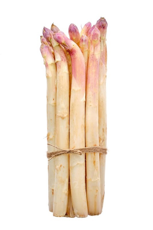 Bunch of asparagus stalks isolated on white background
