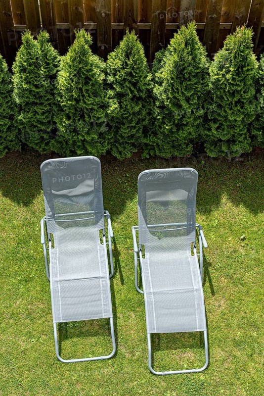 Two garden loungers in a meadow