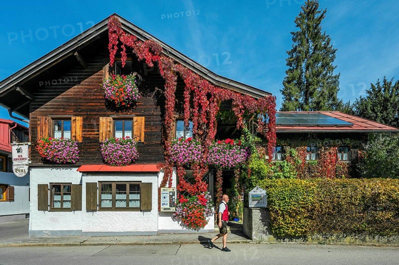 Wooden house with floral decoration and vegetation of widem vine