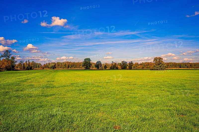 A fallow grain field covered with grass in autumn