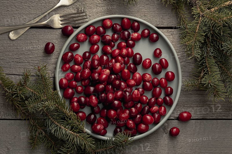 Flat lay plate cranberries with pine forks