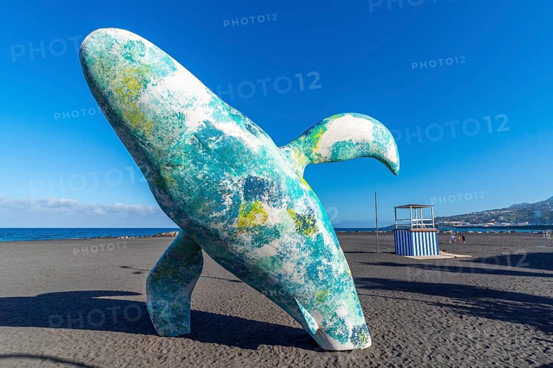 Modern sculpture of a whale