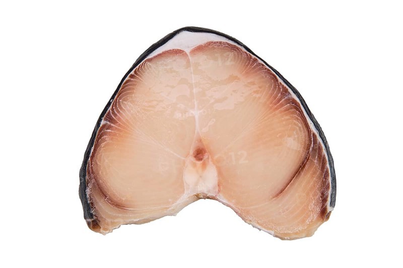 Top view of blue shark steak isolated on white background