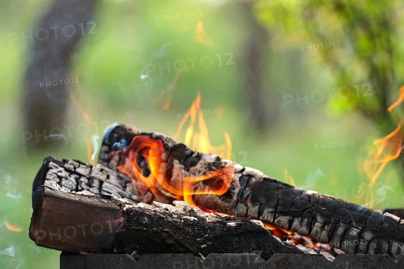 Close up view of burning firewood in the fire outdoor