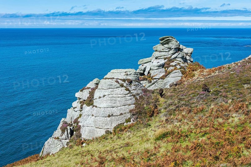 Coastline of the Island of Lundy